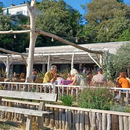 Et Plages Pres Royan La Chrysolige *