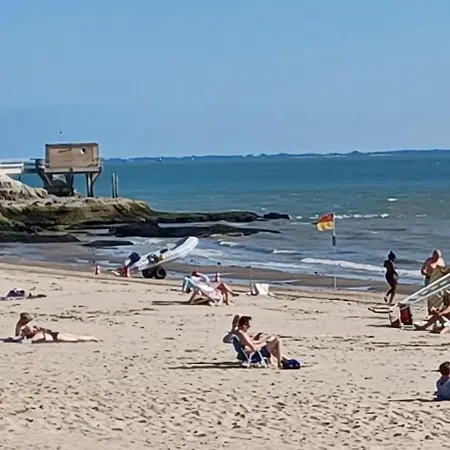 La Chrysolige Royan Plages