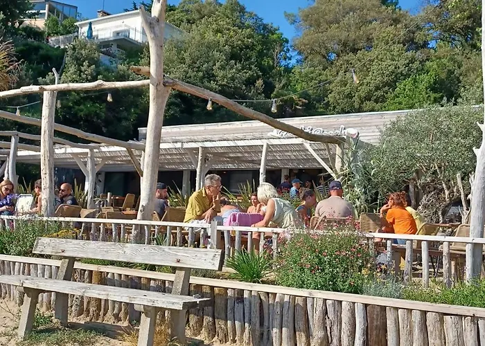 Maison Royan La Chrysolige *